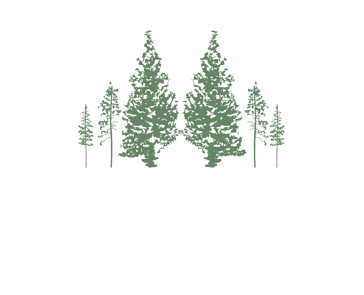 Le Boisé de la Pointe-du-Lac Témiscouata